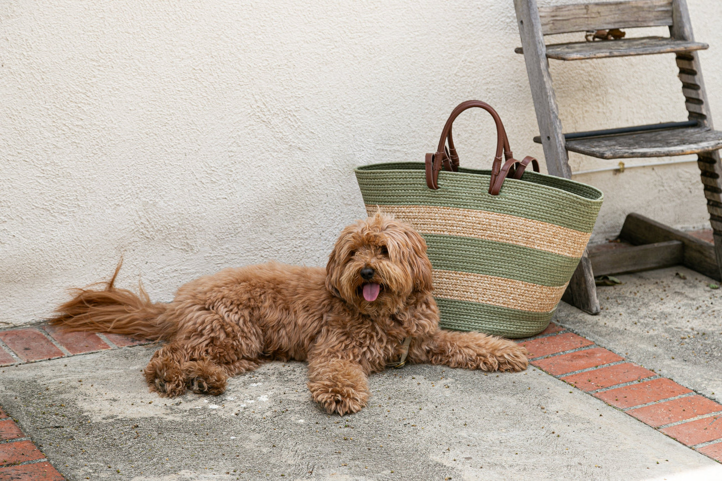 Laguna Fabric Basket Bag in Sage