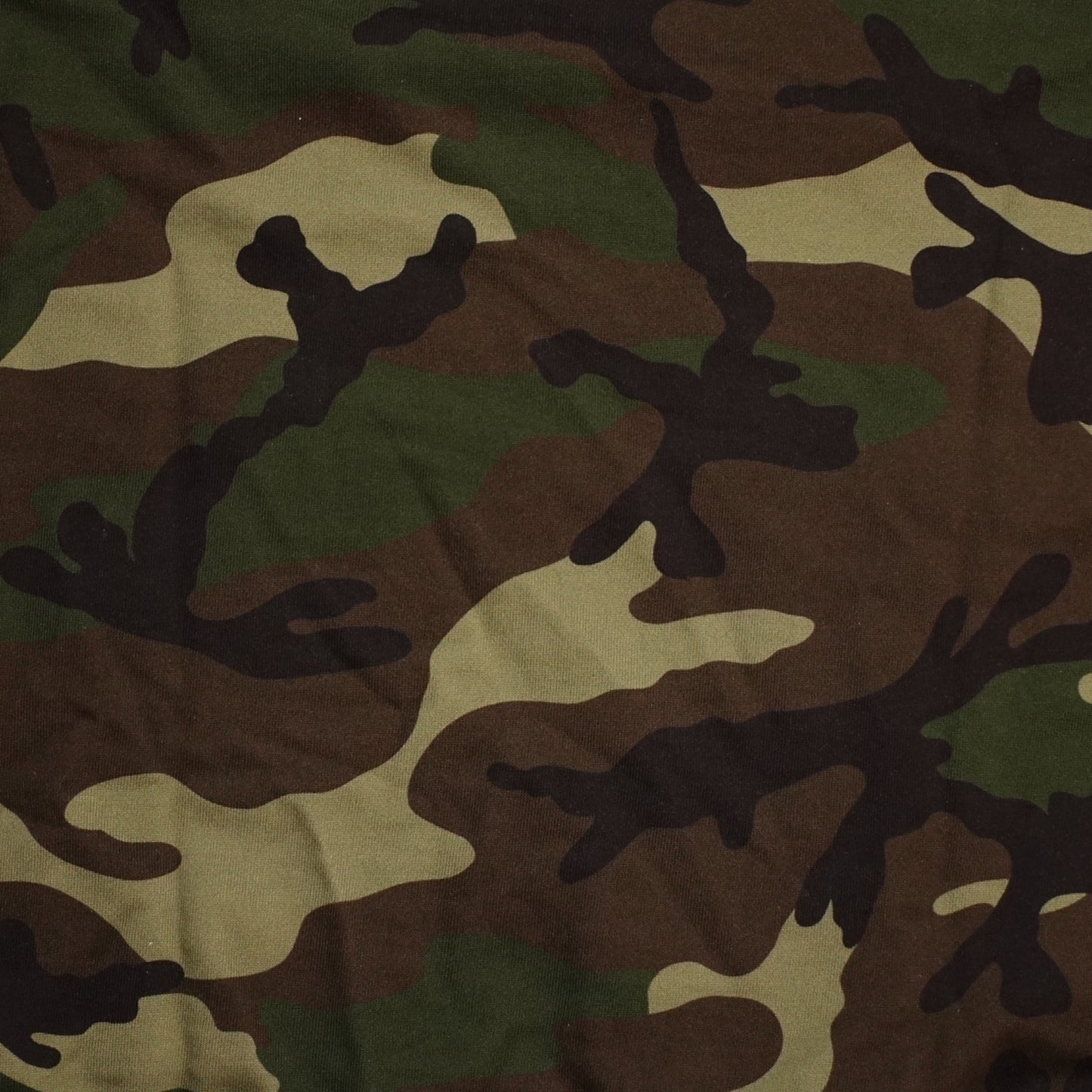 Celine Homme Logo Hoodie in Camouflage