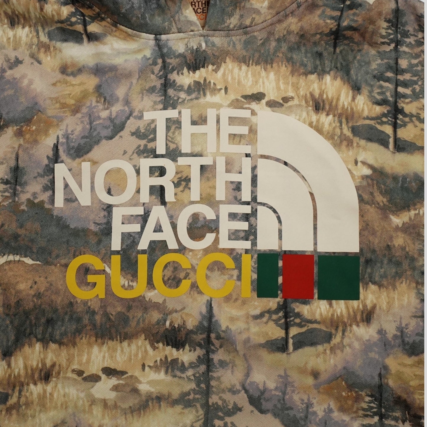 Gucci x the North Face Forest Print Pullover Hoodie in Multicolor