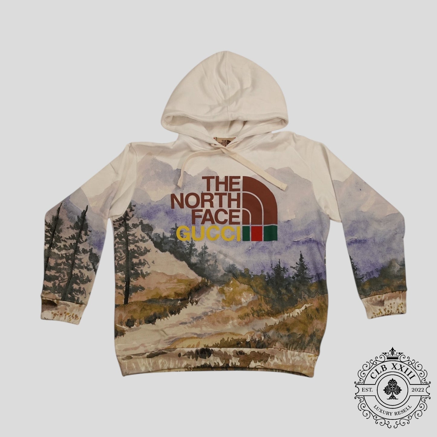 Gucci x the North Face Trail Print Hoodie in Multicolor