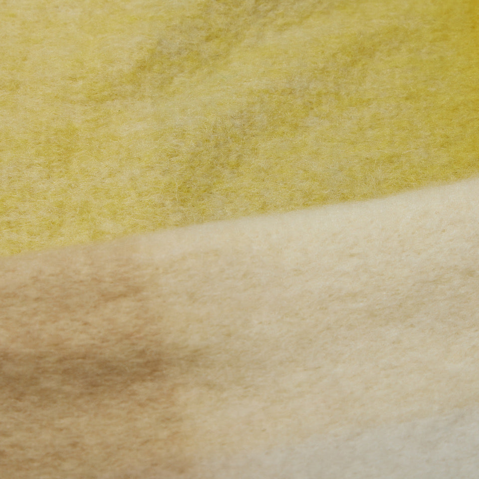 Burrows in Yellow