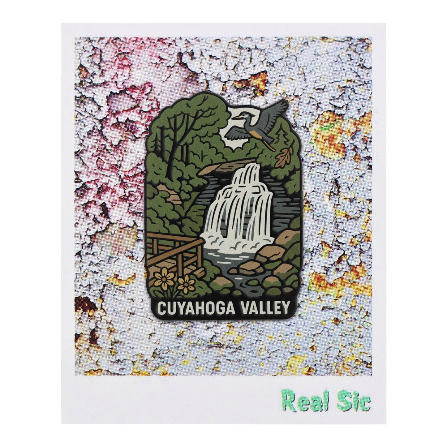 Cuyahoga Valley National Park Traveler Pin - Cleveland Brandywine Falls Souvenir Pin